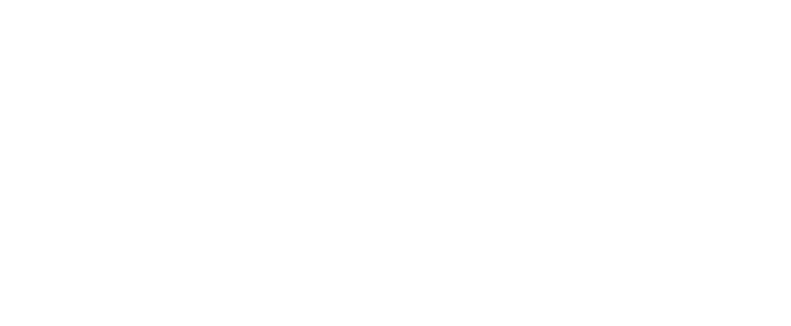 LOGO WHITE